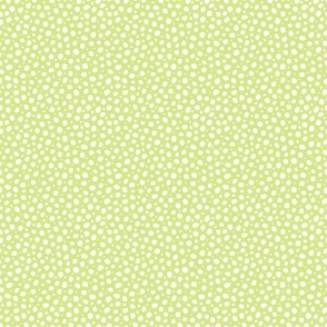 Small Scale honeydew polka dots