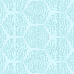 Teal and Turquoise Hexagon doodle Lines