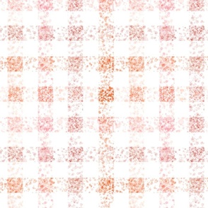 watercolor confetti gingham terracotta