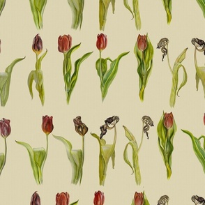 Tulips. Life and death. Medium 