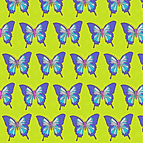 Butterfly-ch-ed-ed