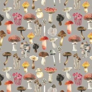 small griege mushrooms in red