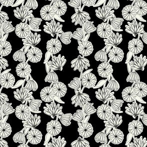 Gerbera Daisy Stripe on Black and White Medium
