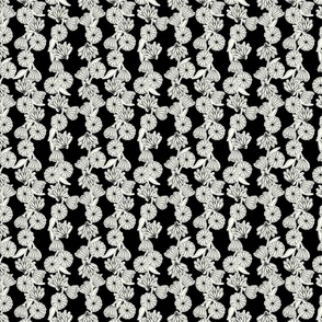 Gerbera Daisy Stripe on Black and White Small