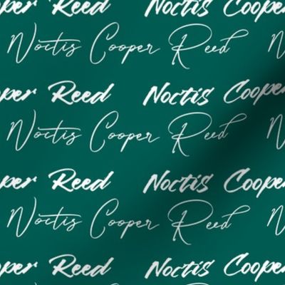 Custom name fabric - Noctis Cooper Reed on hunter