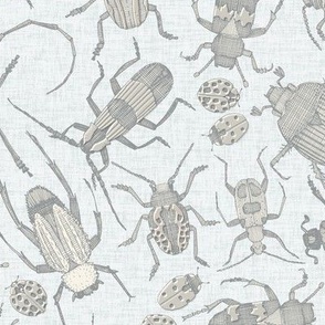 beetles retro silver small