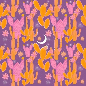 Cactus Desert in the Moonlight - Optimism