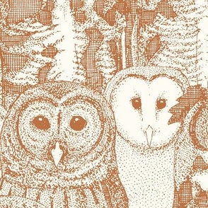 owls NC terracotta large