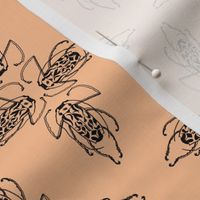 Patterned-Beetle--peach-FBC195