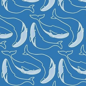 Medium - Dancing whales - white line on blue