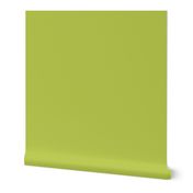 Lime Green Solid Color