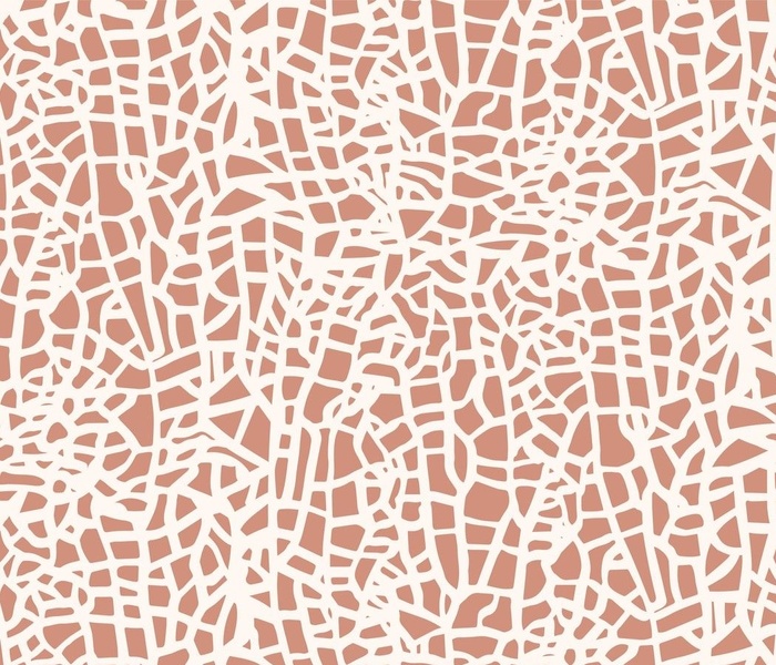 Wonky Grid Maze - Terracotta