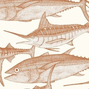 atlantic fish terracotta