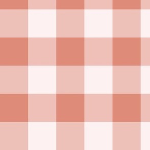 Muted Clay Pantone Gingham | Large Scale Check | Peach Terracotta