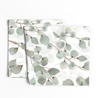 eucalyptus leaves