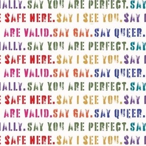 Say Gay Rainbow