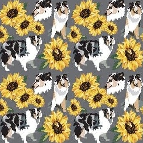 Collie Dog and Sunflowers 3x3 