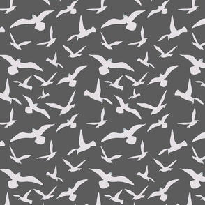 Birds, Seagulls In Flight, light gray on dark gray