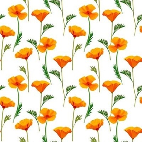 California Poppies on White by Brittanylane