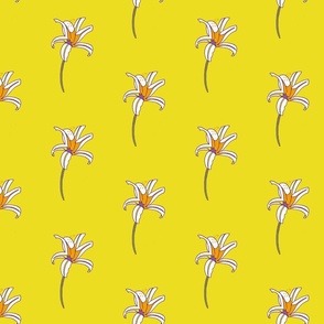 African Wildflowers - Iris Lemon Lime