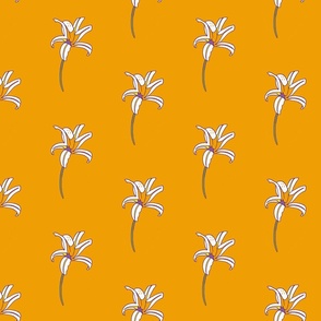 African Wildflowers - Iris Marigold