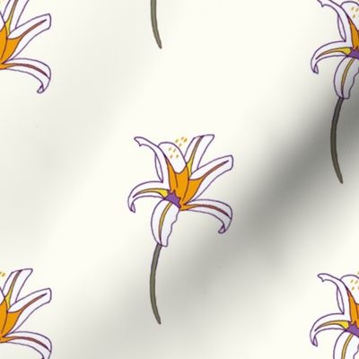 African Wildflowers - Iris Natural