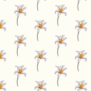 African Wildflowers - Iris Natural