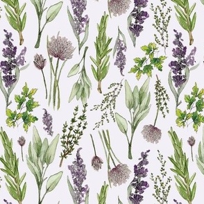 Herbs  de Provence (off-white)