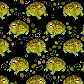 Squeaky Sand Frogs small scale