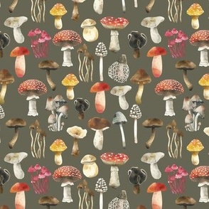 small aspen mushrooms in red
