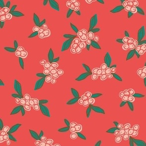 Minimalist Christmas Berries on a Coral Red Holiday background
