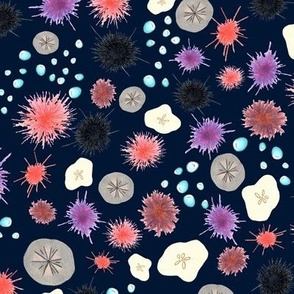 Sea Urchins and Sand Dollars - Dark Navy