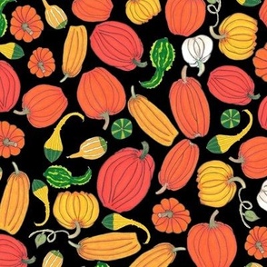 Pumpkins and Gourds - Black