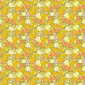 Welcome Summer- Butterfly Kaleidoscope- Watermelon Marigold Lemon Lime- Small Scale