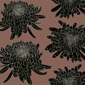 Japanese Chrysanthemum Medium Old Pink