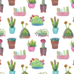 Cactus Love on White Background — Medium