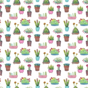 Cactus Love on White Background — Small