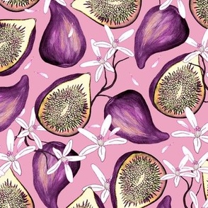 Fruits of figs on a pink background