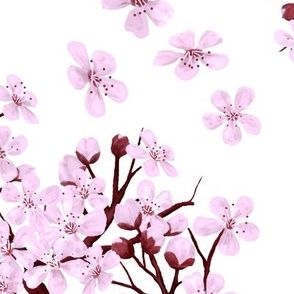 Plum Blossom Time - White background