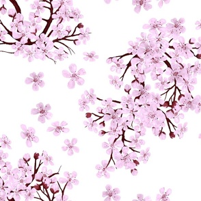 Plum Blossom Time - White 