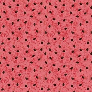 Watermelon - Red Pink with Seeds