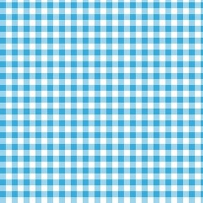 1/4" Max Blue Gingham