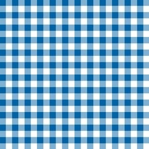 1/4" Medium Persian Blue Gingham