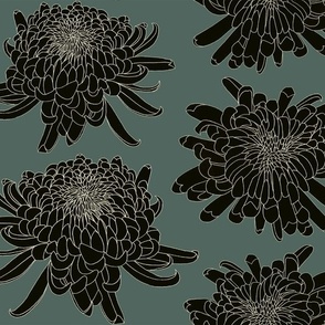 Japanese Chrysanthemum Medium Bluegreen