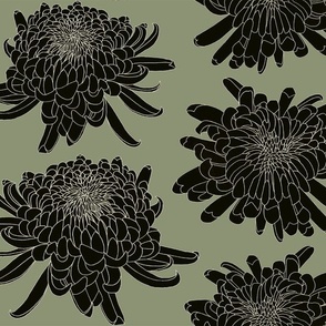 Japanese Chrysanthemum Medium Green