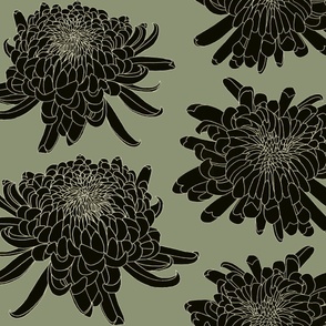 Japanese Chrysanthemum Large Green