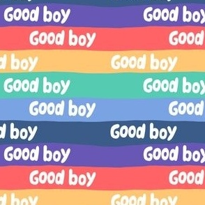 Good boy rainbow