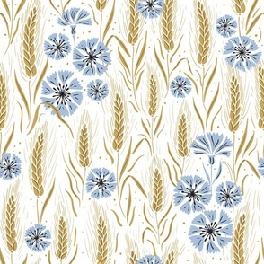 golden corns and baby blue cornflowers on white|  field  wild of flowers