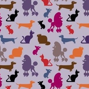 Cats & dogs - small multi-color (Angry Animals)