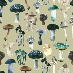 fern  mushrooms in blue